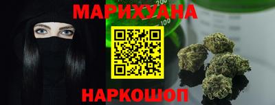гидра Ставрополь