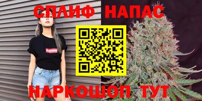 скорость Сланцы