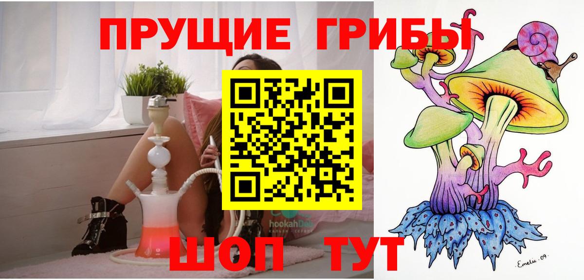 Псилоцибиновые грибы Psilocybe  Вход с VPN  Псилоцибиновые грибы мицелий  Белорецк 
